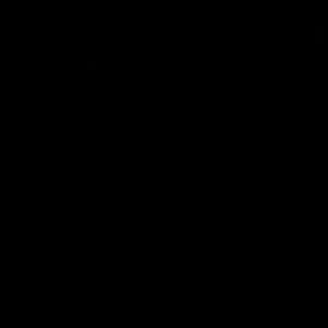 Meet your Posher, Delaney